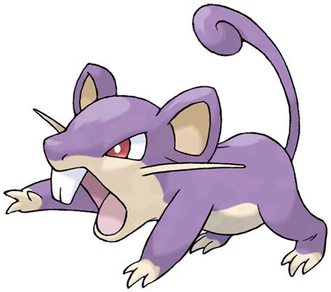 Rattata Pokédex: stats, moves, evolution & locations